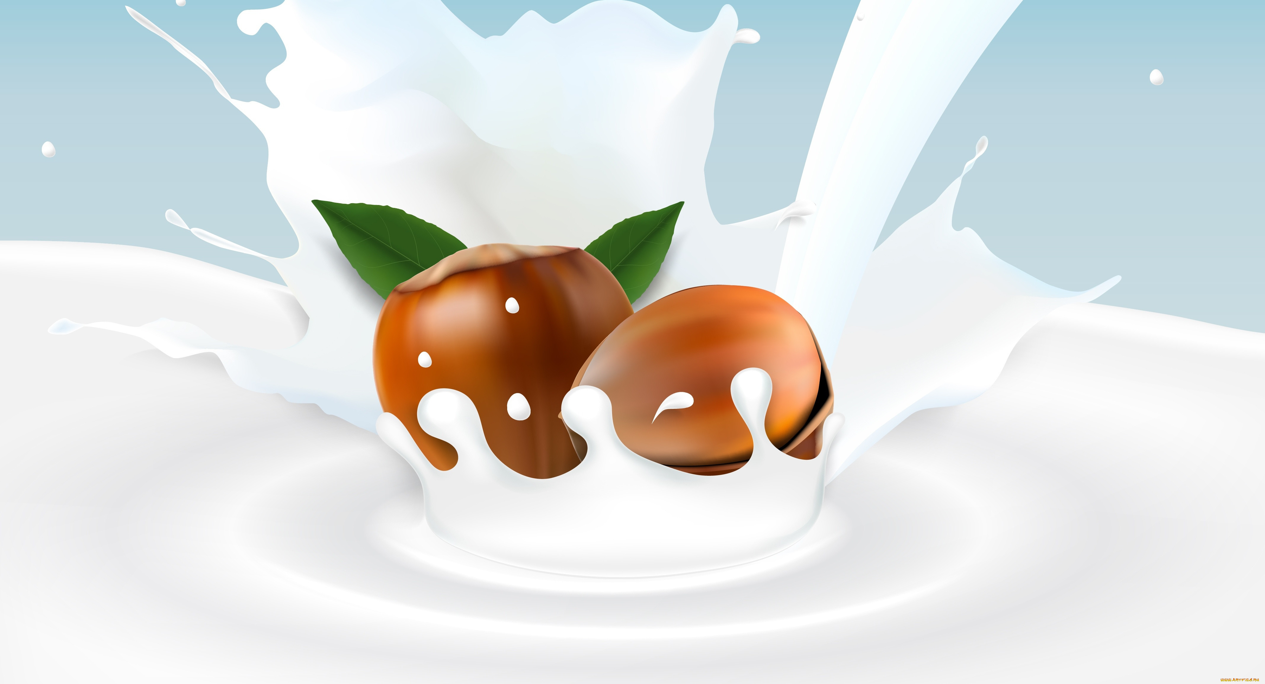 ,  , food, , , , 